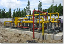 LNG supply and distribution station we  jointly participated in